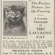 Illustration for article titled Even in the 1870s, humans were obsessed with ridiculous photos of cats